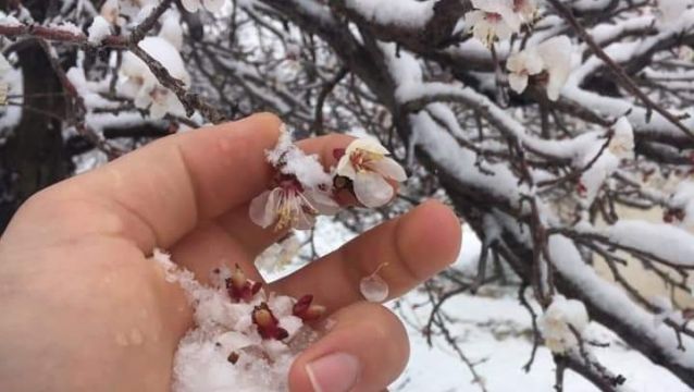 Doğanşehir'de Kar Yağışı Etkili Oldu