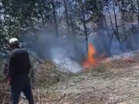 Doğanşehir'de Yangın